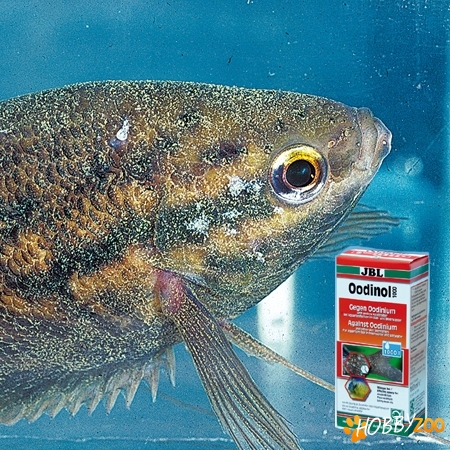 Medicamente pesti acvariu