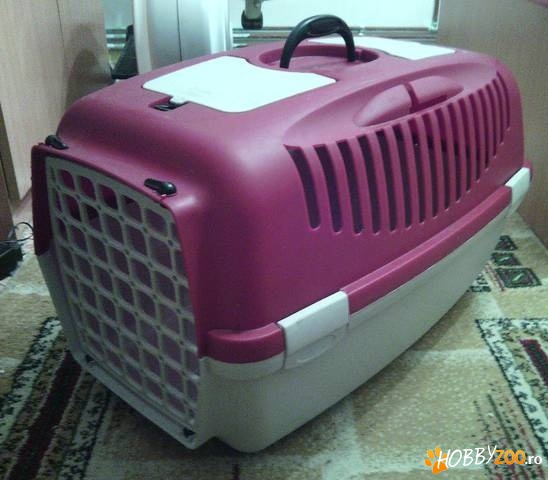 transport animale de companie