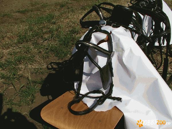 Vand 2 hamuri ptr cai.