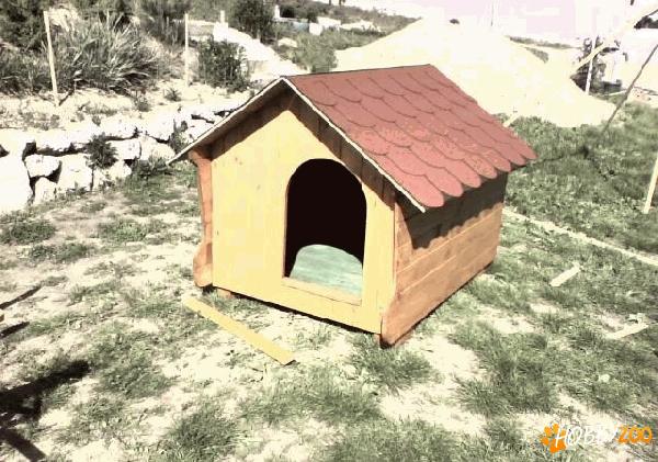 Executam la comanda cusca caini 