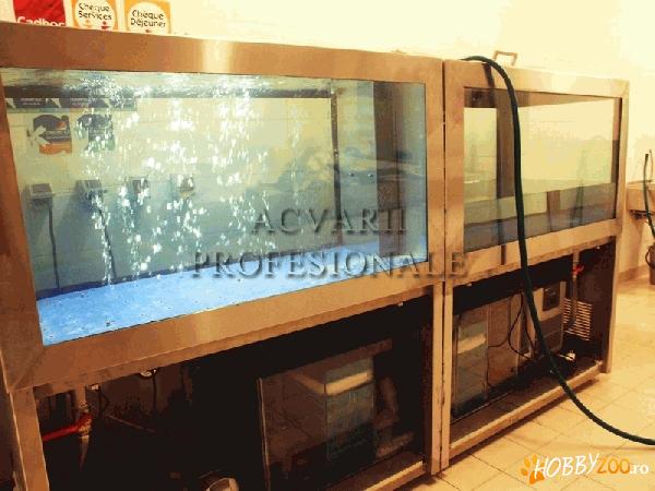 Construiesc acvarii pescarii si sup