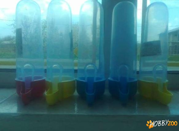 hranitori pentru pasari