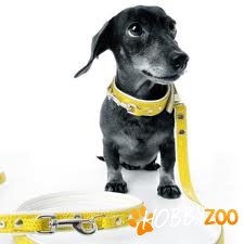 Accesorii caini talie mica