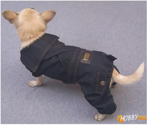 Hainute Catelusi Jeans