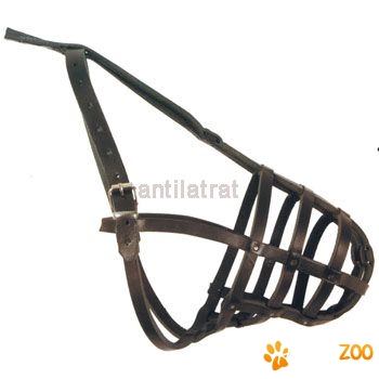 Botnita piele  Teckel