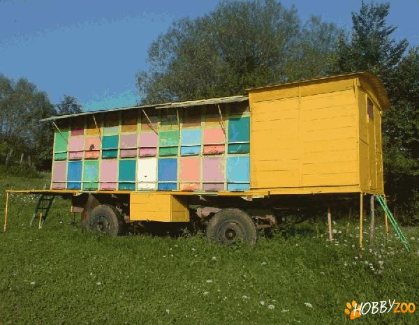 Vand pavilion apicol 2012