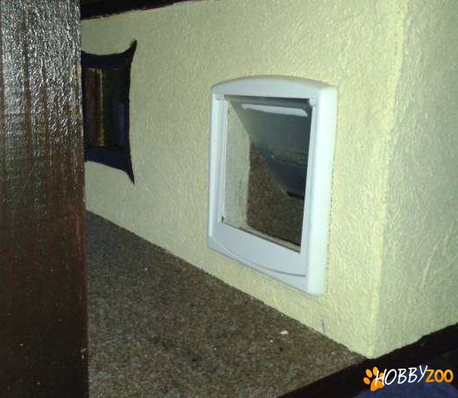 custi pentru animale caini pisici