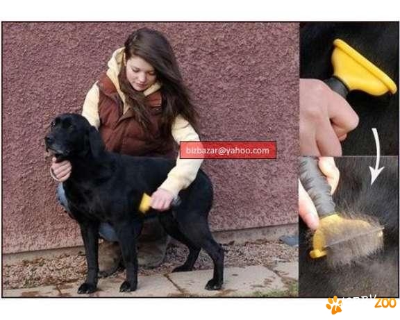 perie medie pentru animale 