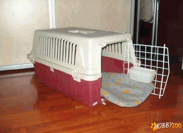 Cusca cu pernuta interioara