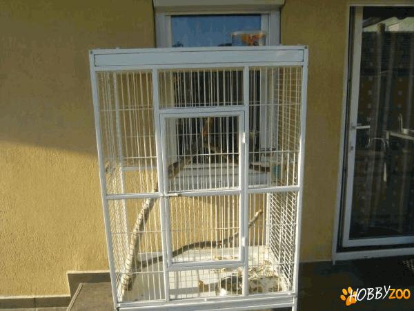 Voliera mare pentru pasari