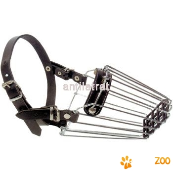 Botnita  Spaniel mare