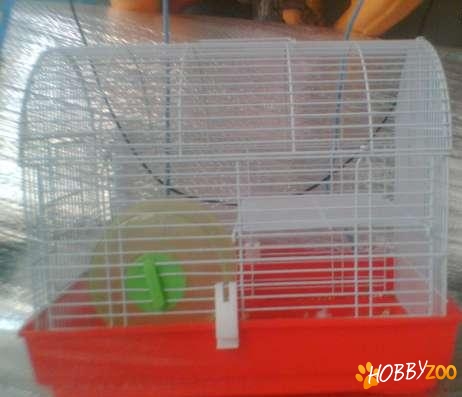 cusca hamster utilata