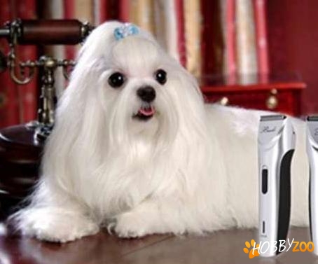 Masina de tuns Baoli