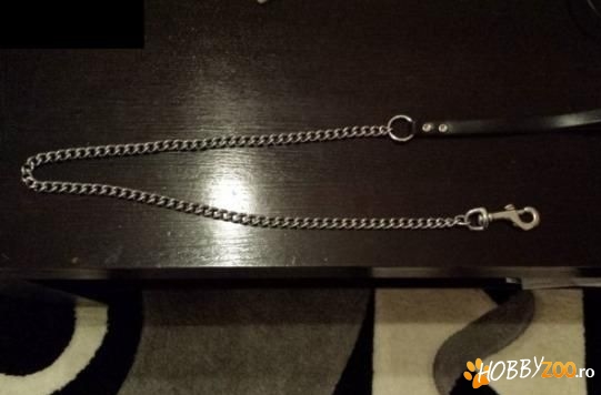 Lesa din piele si metal caine