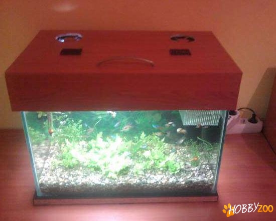 Acvariu cu capac cu lumina