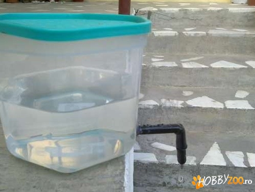 Adapatori Iepuri Suzeta Metalica