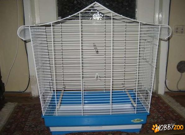 Colivie pt pasari mare