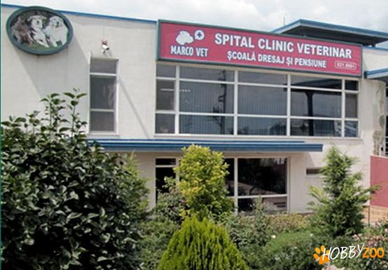 Spital Veterinar Marcovet