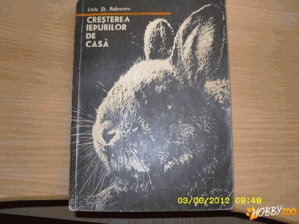 cresterea iepurilor de casa