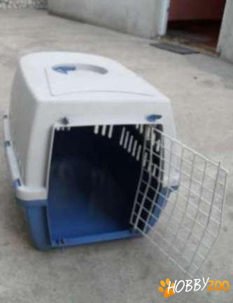 cusca animale intretinuta