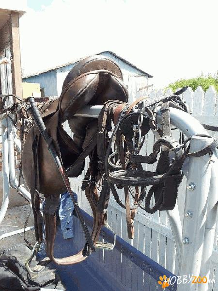 Sa calarie goodwin plus accesorii