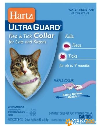 Zgarda de purici pentru pisici