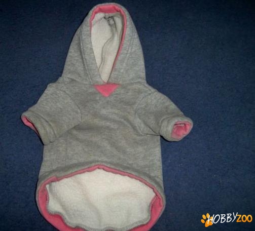 Hainuta catei de talie mica