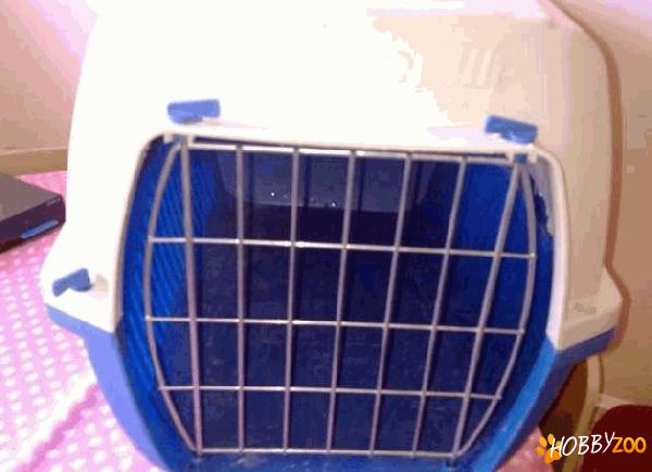 cusca de transport Skipper