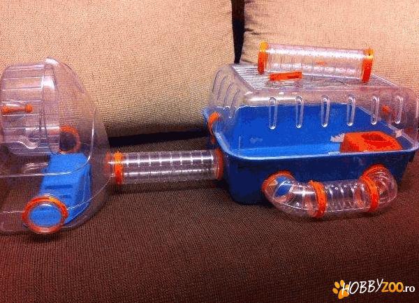 Cusca hamsteri performanta