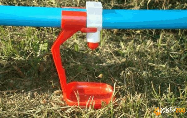 adapatori pentru pasari