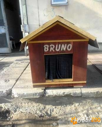 custi pentru caini ieftine