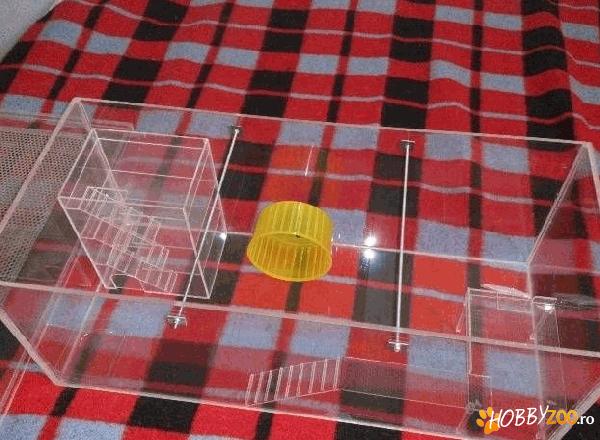 terariu din plexiglas cu hranitor 