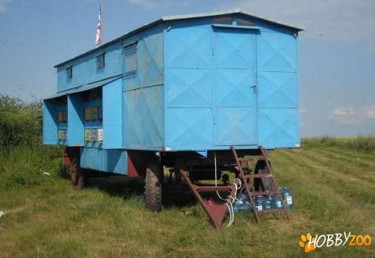 pavilion apicol inmatriculat