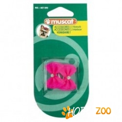 Fundite pentru rasa Yorkshire